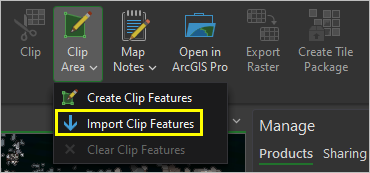 The Import Clip Features option