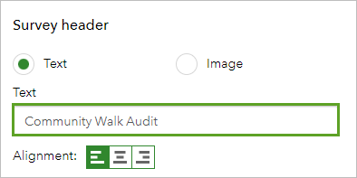 Survey header text configured in the Survey header pane