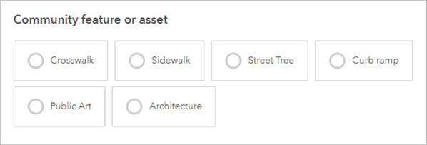 Choices listed in the survey in the horizontal compact style