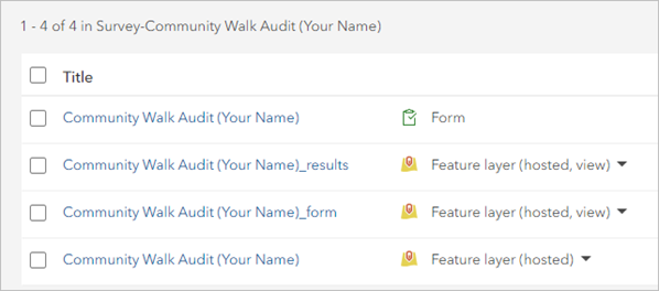 Contents of the Survey-Community Walk Audit folder