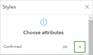 Remove button for the Confirmed field under Choose attributes in the Styles pane