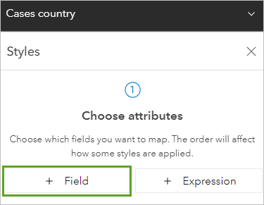 Field under the Choose attributes section in the Styles pane