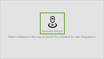 The Business Analyst widget on the canvas