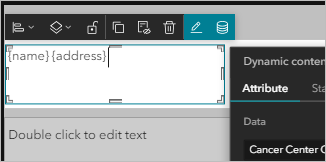 Name and address dynamic attributes in text box