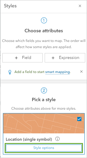 The Style options button on the Styles pane