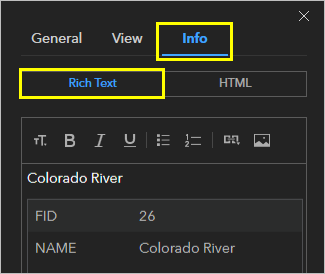 Info tab, Rich Text option selected