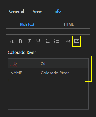 Insert image button, where to locate cursor for insertion