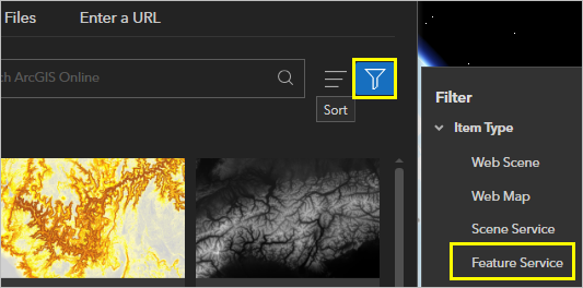 Feature Service as the item type to filter