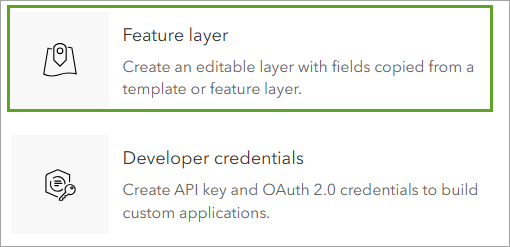 Feature layer