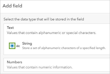 Text option