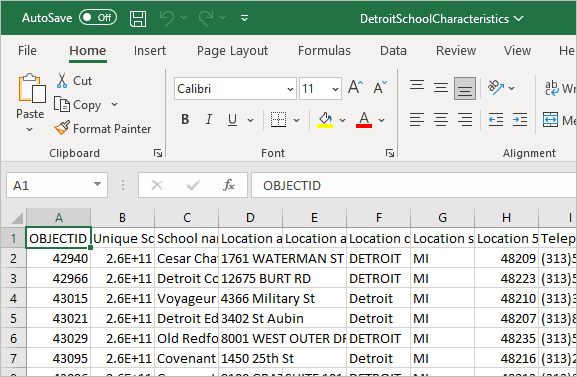 DetroitSchoolCharacteristics.csv file opened in Excel