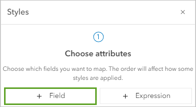 Field button on the Styles pane