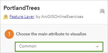 Choose the main attribute to visualize set to Common