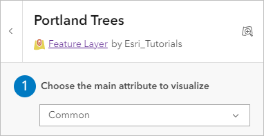 Choose the main attribute to visualize set to Common