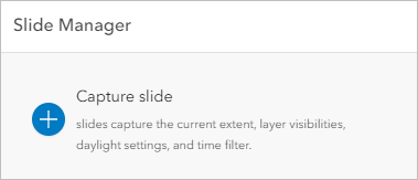 Capture slide in the Slide Manager pane