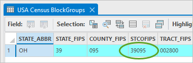 STCOFIPS value for the selected block group