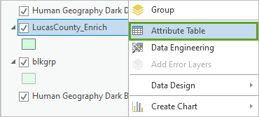 Attribute Table option for the LucasCounty_Enrich layer