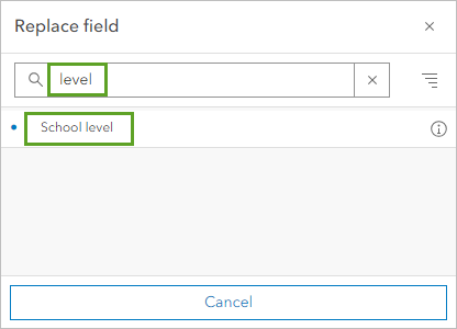 School level in the Replace field window