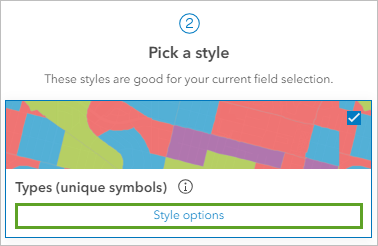 Style options button for the Types (unique symbols) style