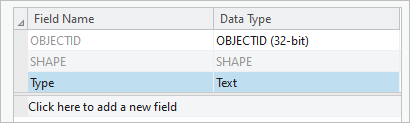 Type field with Data Type set to Text