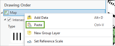 Paste option