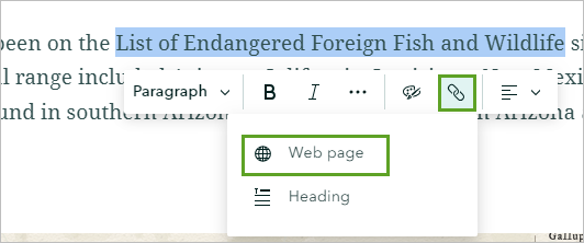 Text highlighted and link in the text editor toolbar