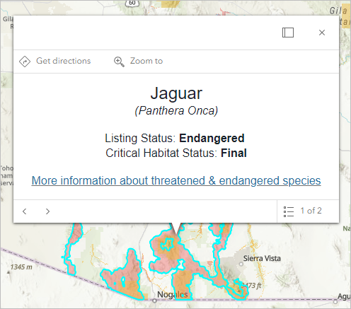 Pop-up for the jaguar's habitat in southern Arizona