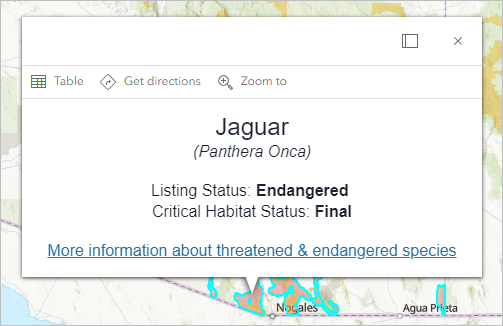 Pop-up for the jaguar's habitat in southern Arizona