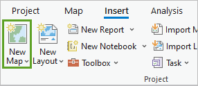 The New Map button in the Project group on the Insert tab