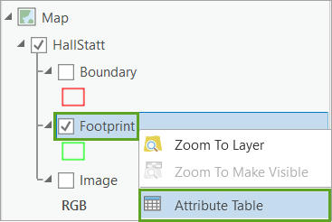 Attribute Table option