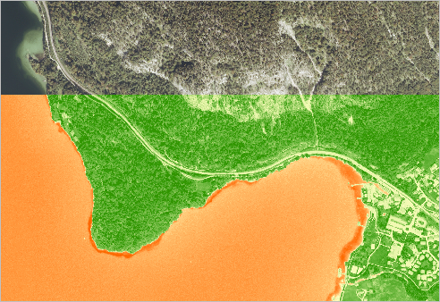 Compare the NDVI Colorized and HallStatt layers.