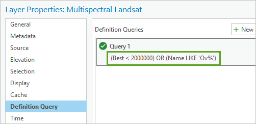 Definition Query tab