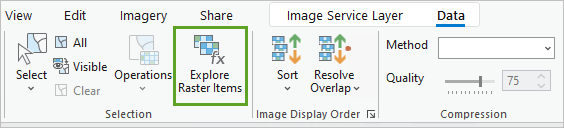 Explore Raster Items button