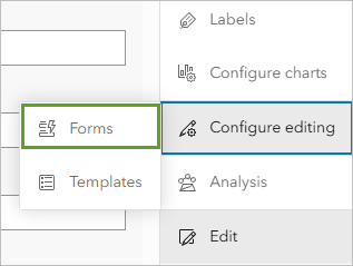 Configure editing option and Forms selected