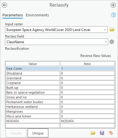 Reclassify tool parameters