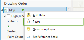 Paste option for the layer