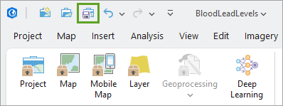 Save Project button
