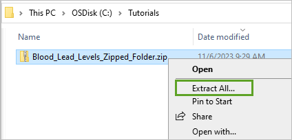 Extract the zipfile.