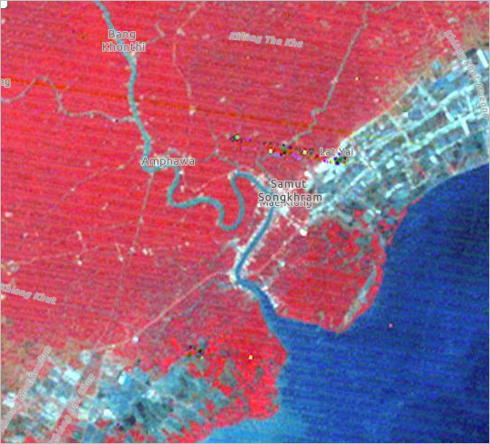 Healthy vegetation shown in red.