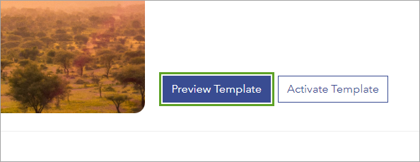 Preview Template button