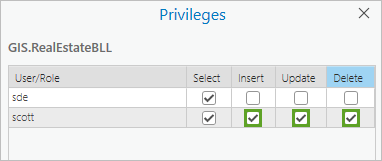 Privileges window with Insert, Update, and Delete selected for user scott