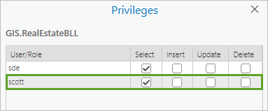 Privileges window