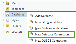 New Database Connection menu option