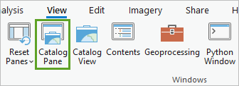 Catalog Pane button