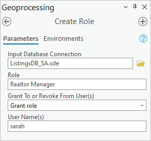 Create Role parameters