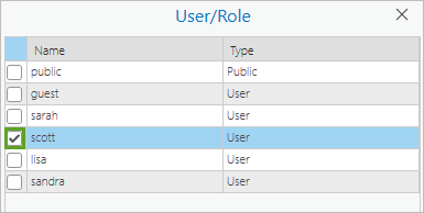 User/Role window