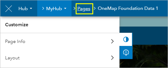 Pages option