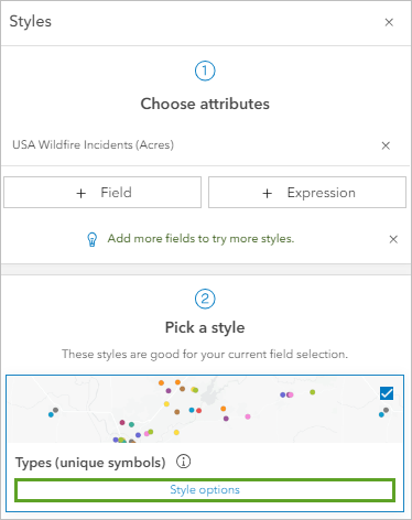 Style options button on the Types (unique symbols) card