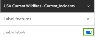 Enable labels on the Label features pane