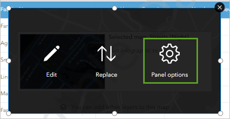 Panel options